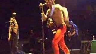 Gogol Bordello in Padova - &quot;Harem in Tuscany&quot;