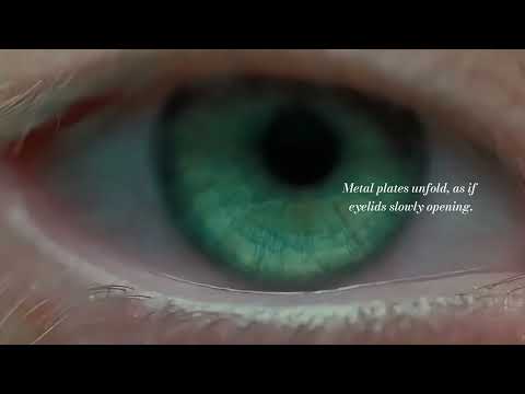 Zhen Meng - The Gaze Object