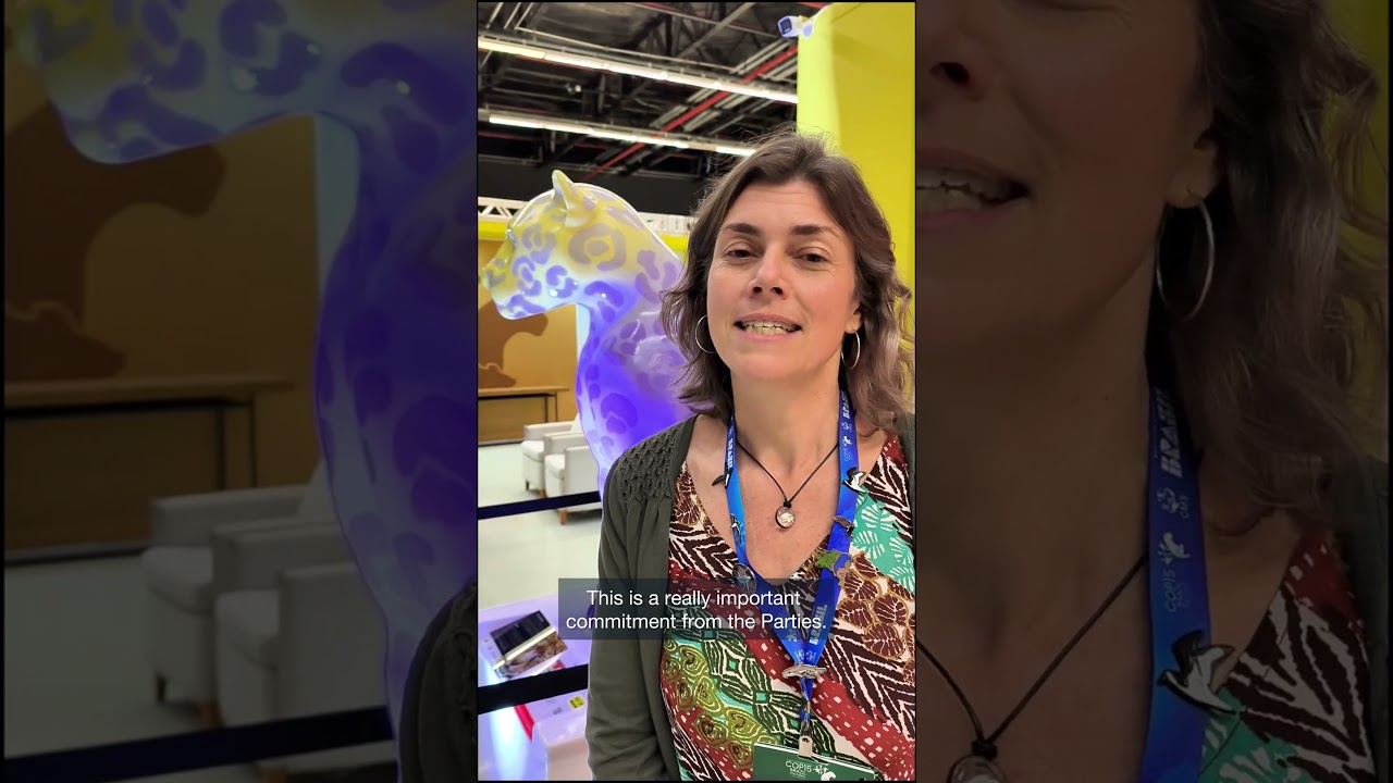 Outcome CMS COP15 - Campo Grande, Brazil