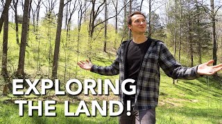 Exploring the Property for Finishing Lumber and Invasive Species!