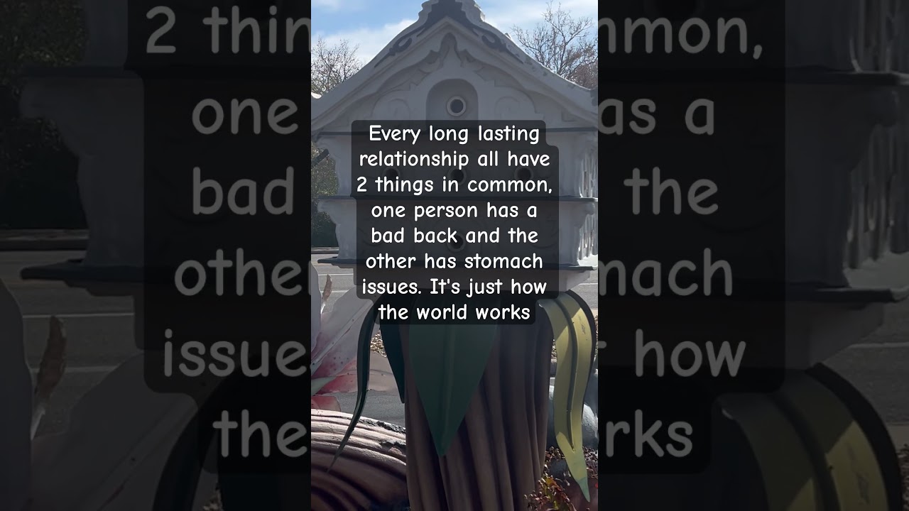 #quotes #funnyquotes #funny #jokes #jokesquotes #newvideo #subscribe