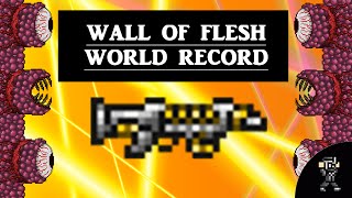 Terraria 1.2.4 Wall of flesh WORLD RECORD SPEEDKILL (1.23 seconds) [beaten]