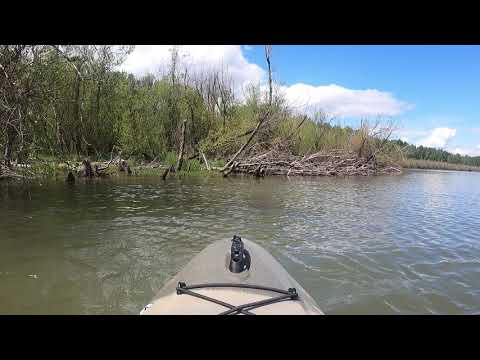 Virtual Kayaking at Vancouver Lake, WA