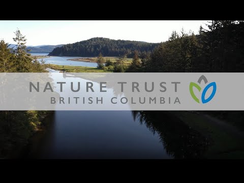 Estuaries Enhancement