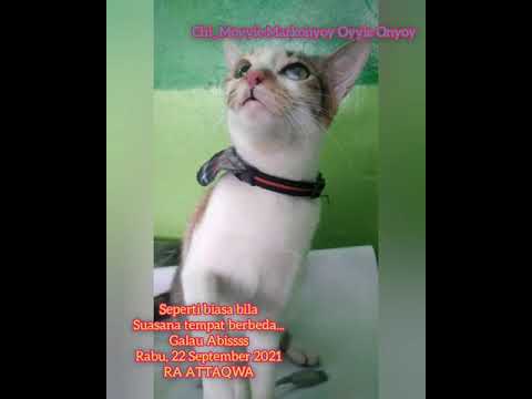 Moyyie main2 ke R AT TAQWA 👏👏❤❤