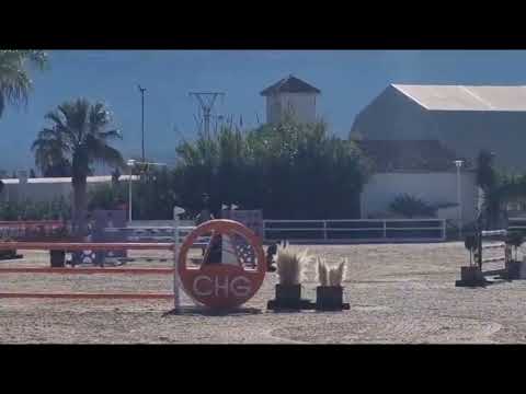 Daddy Cool Ter Linden Z