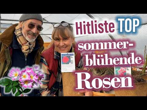 Die TOP 10 Strauchrosen & TOP 5 Rambler 🌹das sind die ROSEN FAVORITEN 💞