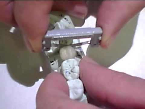 ContacEZ LAB Strip System