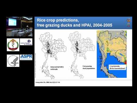 Avian AH5N1 influenza - In animals
