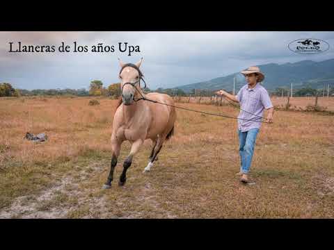 Encuentro Con Un Berraco - Alfonso Niño