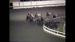 1987 Meadowlands NO DIRECTION Goshen Cup 2yo C&amp;G Pace