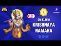 Lord Krishna Mantra Om Kleem Krishnaya Namaha 1008 Times Krishna Mantra Chanting