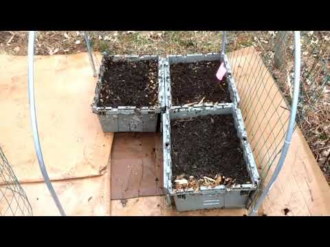 Orchard Design 6 - Guilds Develop / Propagation Spaces