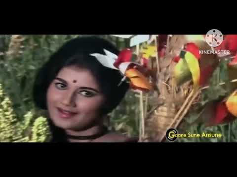 O Firki Wali Tu Kal Phir (ओ फिरकी वाली तू कल फिर आना Mohd. Rafi Raja Aur Rank ❤️ Romantic HD Song🌹)