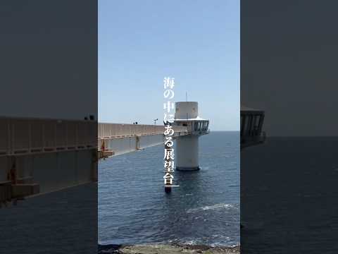 【透明度で入場料が変わる！？】海底8ｍから魚を観察できる穴場スポット「かつうら海中公園 海中展望塔」 | TABIZINE～人生に旅心を～  