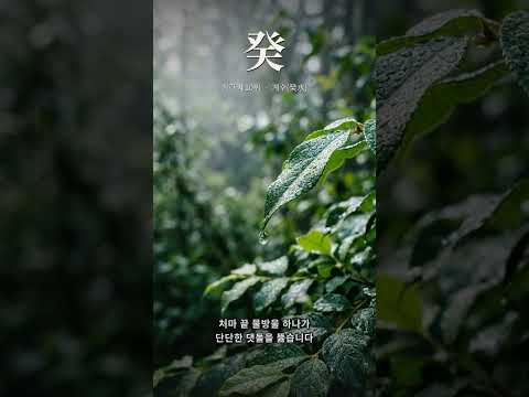 가장 작지만 가장 끈질긴 | 천간 열째, 계수(癸水)