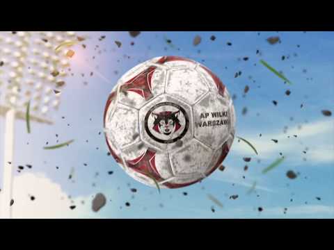 AP Wilki 2008 - rok 2018