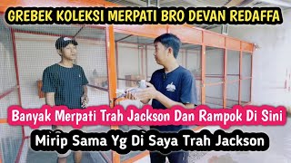 Download lagu Bro Devan Redaffa's Pigeon Collection Raid: Lots of Jos Jis Pigeons Here‼️ mp3 Download lagu Bro Devan Redaffa's Pigeon Collection Raid: Lots of Jos Jis Pigeons Here‼️ mp3