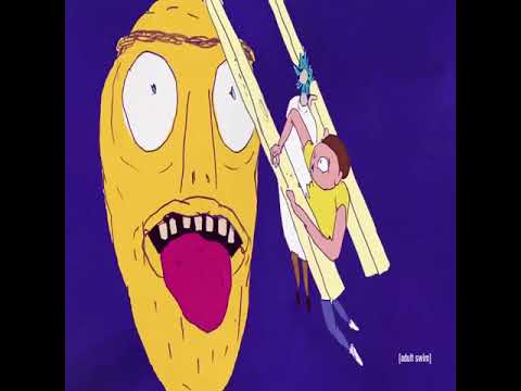 Silicon Sound   The Jaguar