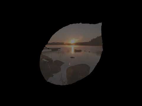 Old Sea Brigade - Tidal Wave [Audio]