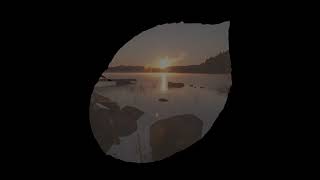 Old Sea Brigade - Tidal Wave