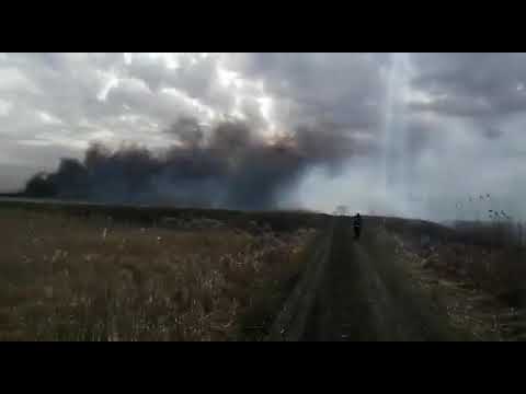 Incendiu vegetatie Vadu Oii 2