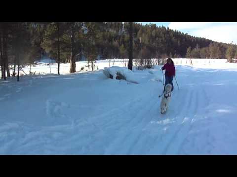 Sveta Folldal 2011.MP4