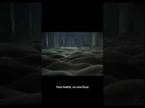 Andréi Tarkovski, la contemplación y la salvación de la inactividad