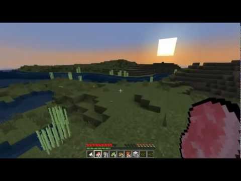 Competitive TerraFirmaCraft - EP: 1, (Day 1)
