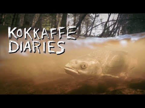 Fly Fishing for Diamond Orfe in Sweden.
