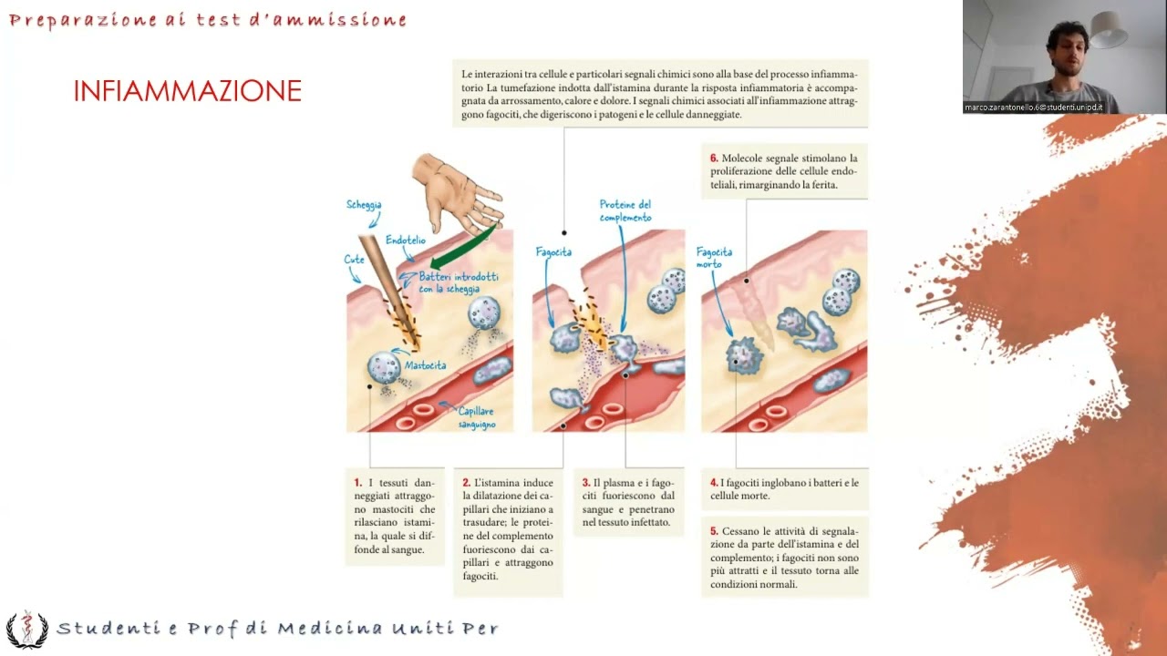 Anatomia e Fisiologia - Sistema linfatico e immunità