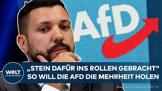 TOBIAS RAUSCH: "Set the ball rolling" – How the AfD plans to win a majority in the state parliament