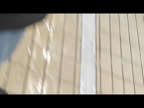 Roma Nuoto Vs Florentia