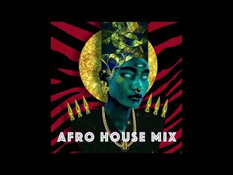 Black Coffee, Prince Kaybee, Shimza , Caiiro | Afro House Mix | Afro House Music |