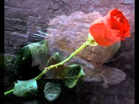 Martin Locher Bitte sei so frei