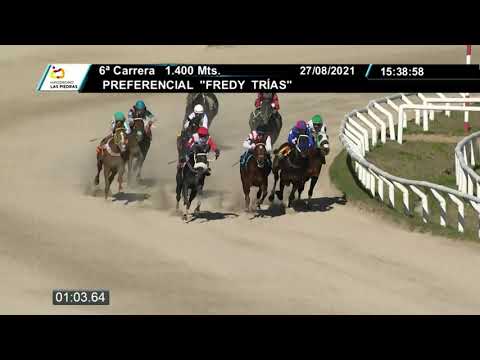 210827 c06 - NO LA SOÑE - HIPODROMO LAS PIEDRAS - PREFERENCIAL "FREDY TRÍAS"