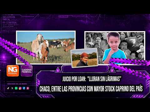 🟠JUICIO POR LOAN:  LLORAN SIN LÁGRIMAS🟠CHACO, ENTRE LAS PROVINCIAS CON MAYOR STOCK CAPRINO DEL PAÍS