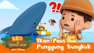 Download lagu Ditelan IKAN PAUS?! | Ikan Paus Punggung Bungkuk | Leo Si Penjaga Alam | #minisode mp3