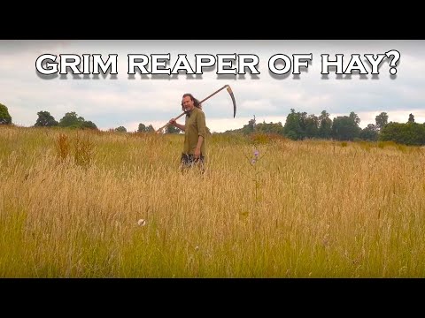 Haymaking: How did Medieval peasants make hay? (I prove I can't use a scythe!)
