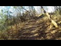 Fun On Wheels
