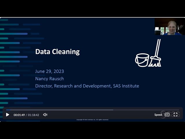 Data Cleaning Seminar Video Preview