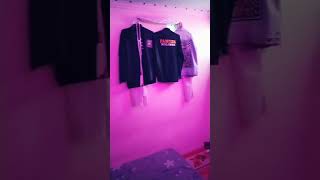 Download lagu story'wa PSHT 30 detik mp3 Download lagu story'wa PSHT 30 detik mp3