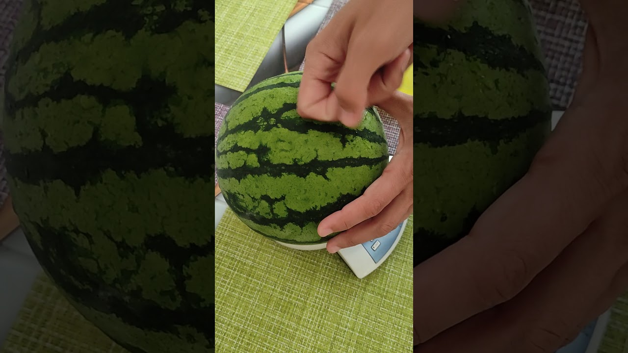 Арбуз Сюрприз 2021. Арбуз с жёлтой мякотью выращенный на даче #shorts