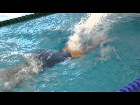 Melanie Katharina Wilhelm 100m Schmetterling [DMS 2014]