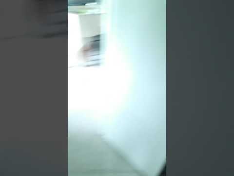 la pute de chasse que les français ont