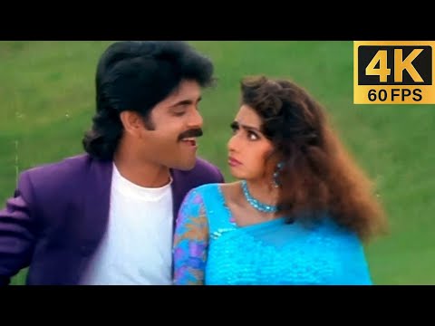 Govinda Govinda Movie  Andamaa Anduma Video Song 4K 60FPS  Nagarjuna, Sridevi