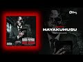 Professor Jay - HAYAKUHUSU (Official Audio)
