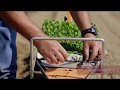 Video for Terrateck Paperpot Transplanter