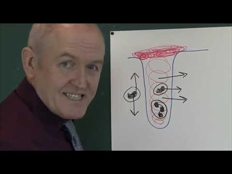 Physiology of wound healing HD #uknurses