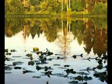 Rëndësia e ujit të distiluar